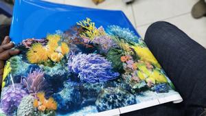 Acquarium Backgrounds - main view