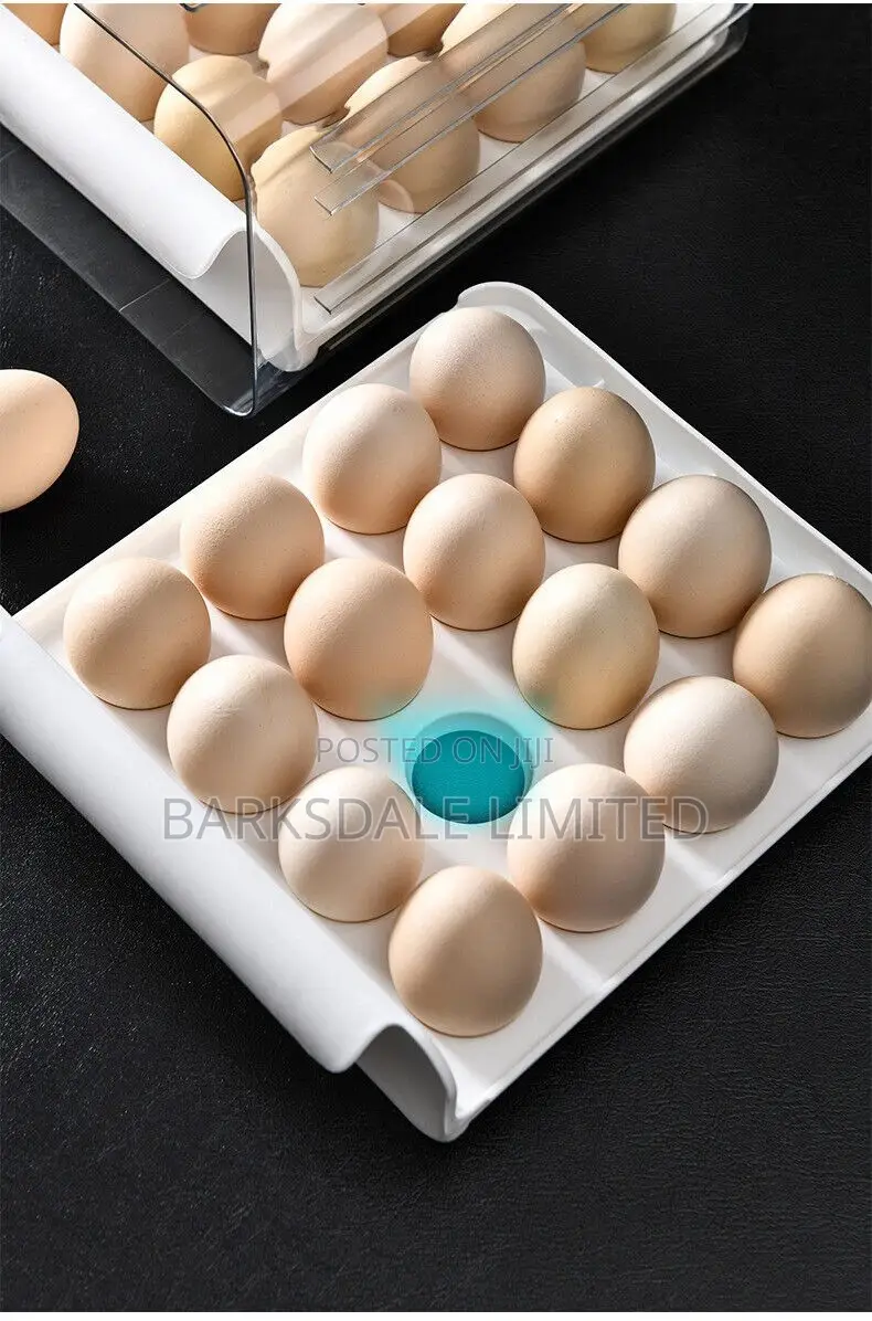 Eggs Pantry Organizer Storage Acrylic Plastic Drawer 32 Grid
