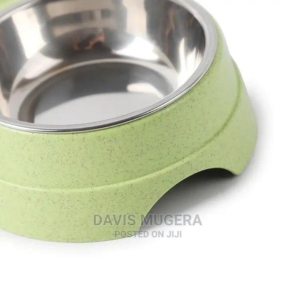 Catluna Stainless Steel Double Dog Cat Bowl - thumbnail 3