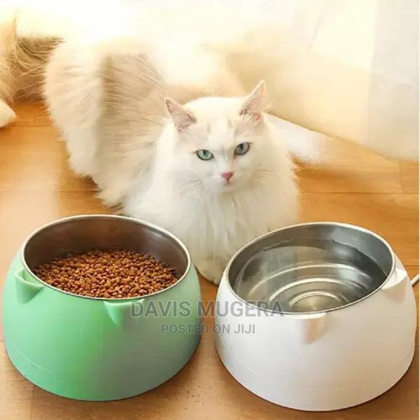 Romeow Tilted Stainless Steel Dog Cat Bowl - thumbnail 3
