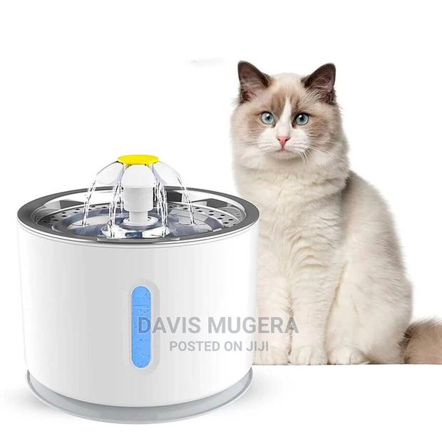 Automatic Cat Water Fountain, With Automatic Turn Off, LED W - main view