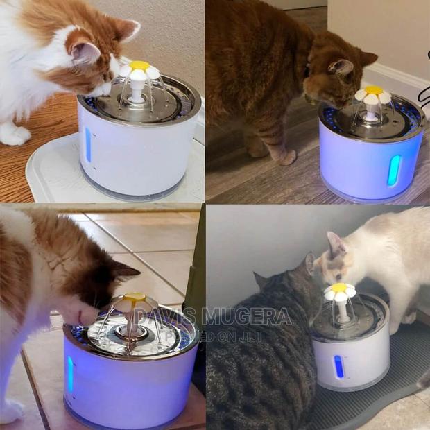 Automatic Cat Water Fountain, With Automatic Turn Off, LED W - thumbnail 3