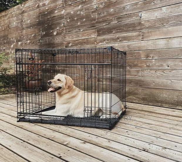 Pet Crates - main view