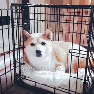 Puppies Rabbit Crates - thumbnail 2