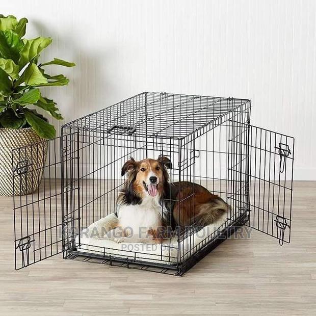 6 Months Puppies Crates