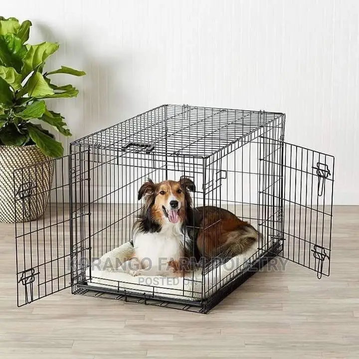 6 Months Puppies Crates