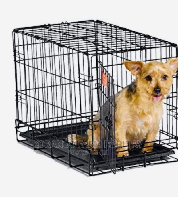 Cats and Rabbit Carrier - main view