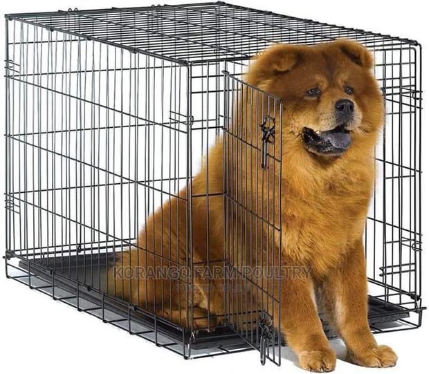 Large Size Pets Cages - main view