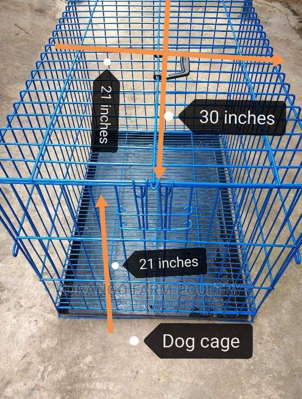 Cats, Rabbit, Puppies Crates - main view