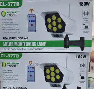 Motion Sensor Solar Light
