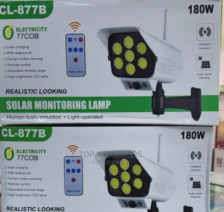 Motion Sensor Solar Light