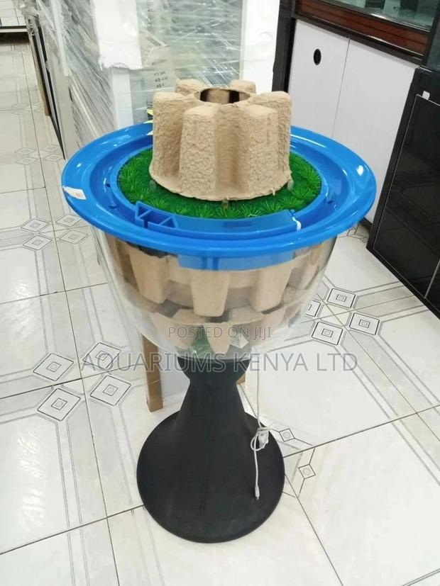 Big Glass Wine Aquarium , Unique Imported - main view