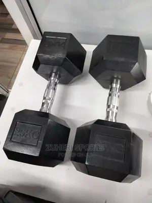 25kg Dumbbells Pair Gym Hex