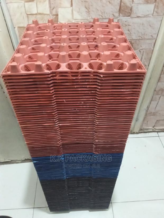 Mixed Colours Egg Trays - thumbnail 2