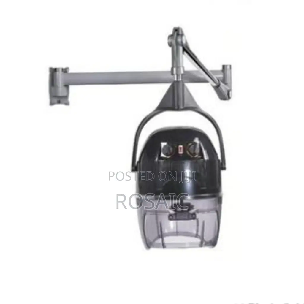 Wall Mounted Hair Dryer