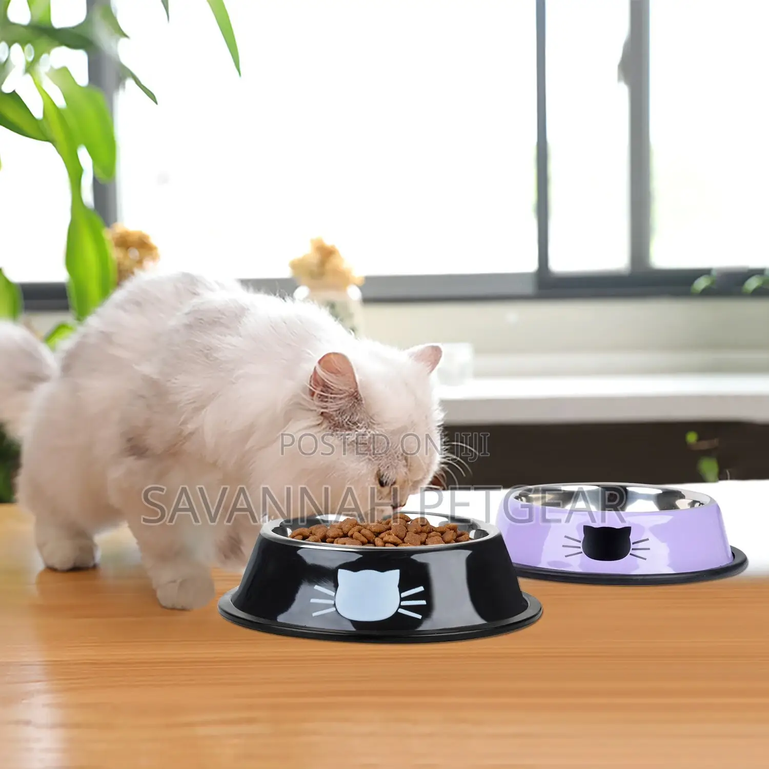 Kittypro Cat Food and Water Bowl