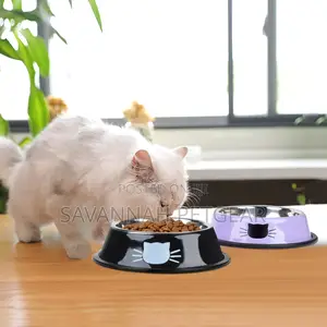 Kittypro Cat Food and Water Bowl