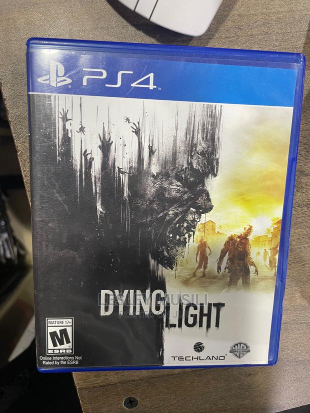 PS4 Dying Light - main view
