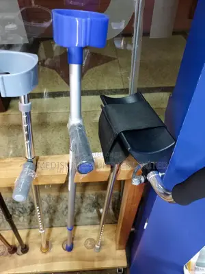 Walking Stick