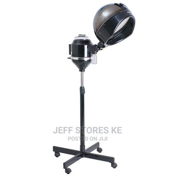 Professional Micro Mist Hair Steamer