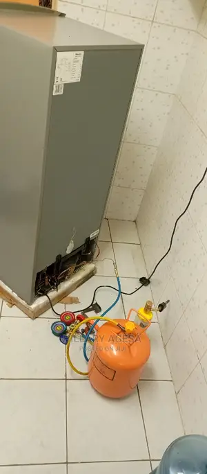 Fridge Repair Services