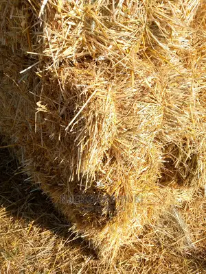 Barley and Wheat Straws