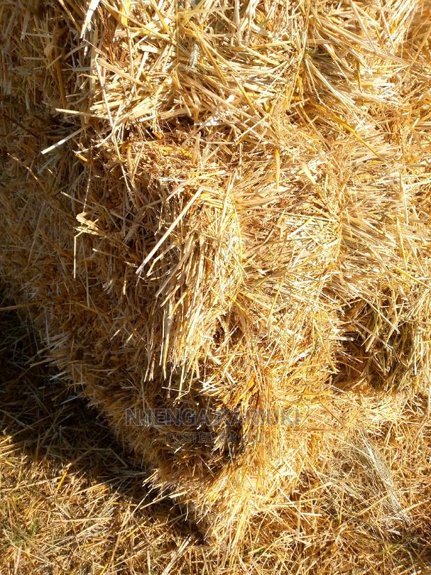 Barley and Wheat Straws - thumbnail 4