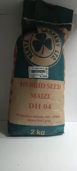Hybrid Maize Seed Dh04 2kgs
