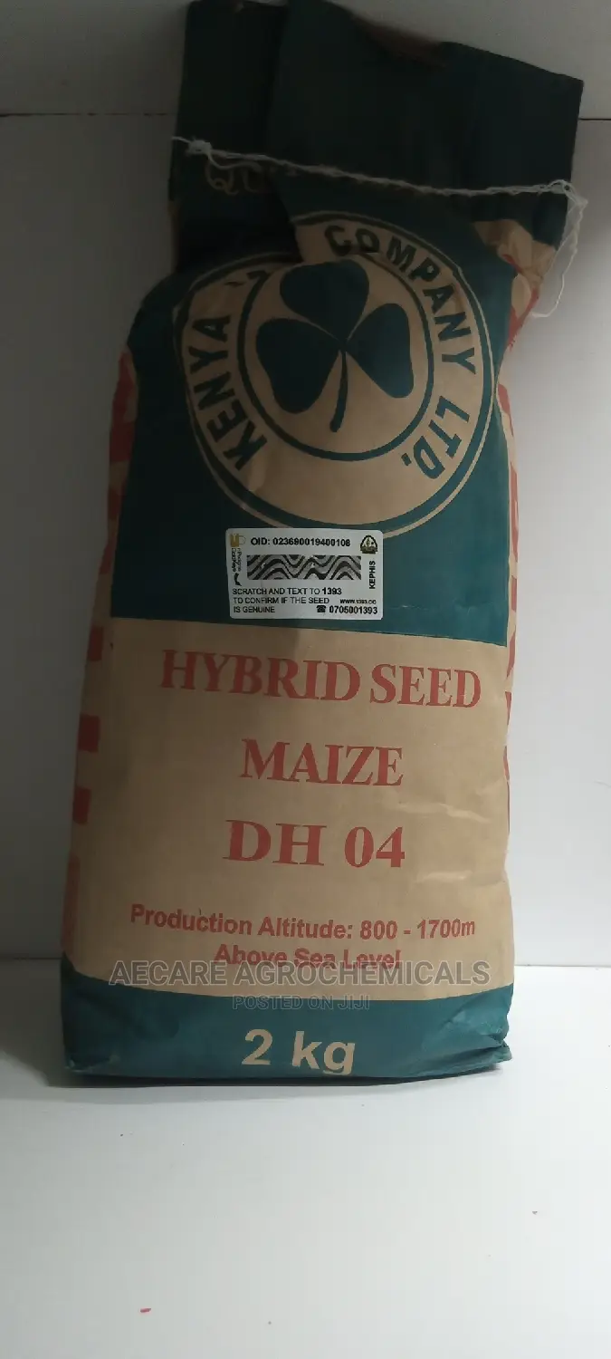 Hybrid Maize Seed Dh04 2kgs