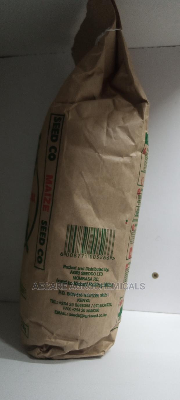 Sungura 301 Maize 2kg - thumbnail 4