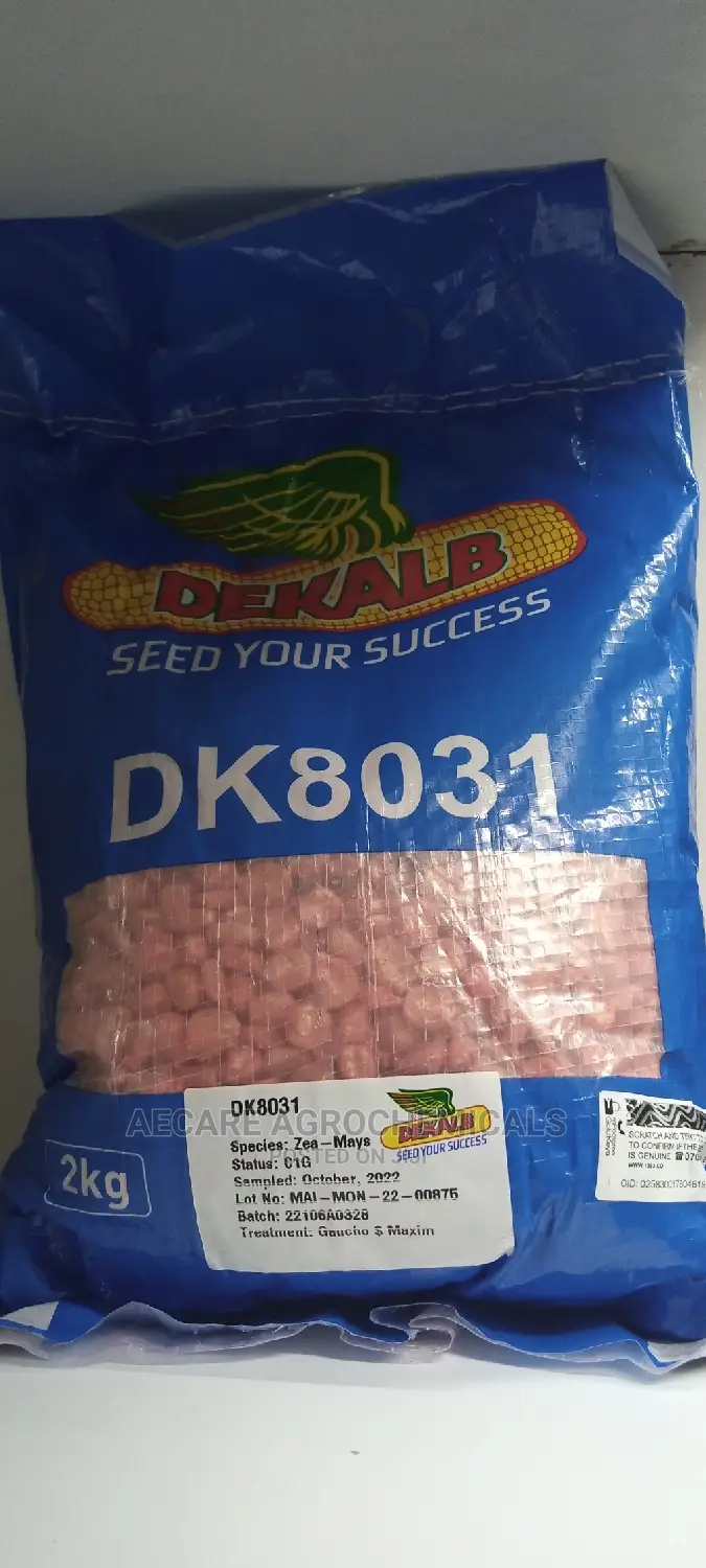 Dekalb Maize Seed (Dk 8031) 2kgs