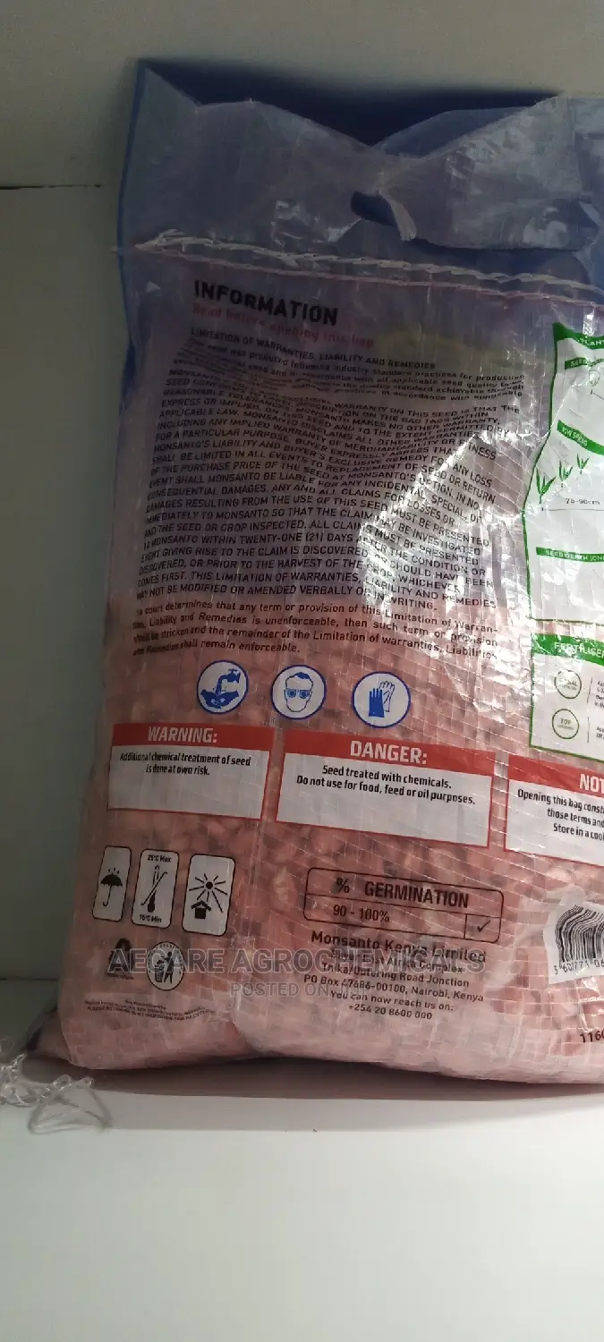 Dekalb Maize Seed (Dk 8031) 2kgs