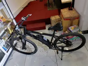 Super High Quality Electric Rechargeable Bikes