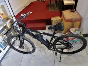Superior Best Quality Electric Rechargeable Bikes