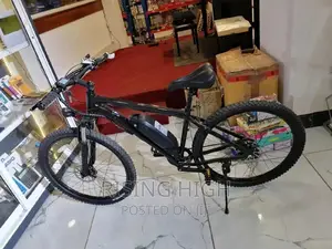 Strong Best Quality Electric Rechargeable Bikes