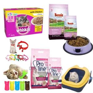 Kitten Essentials Starter Bundle - thumbnail 2