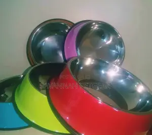 Extra Large XL Dog Food and Water Bowl