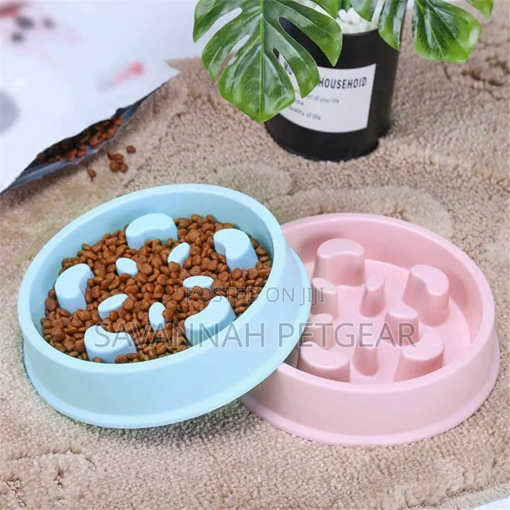 Pet Slow Feeder Dog Bowl, Anti Skid