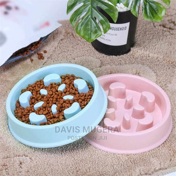 Pet Slow Feeder Dog Bowl, Anti Skid - main view