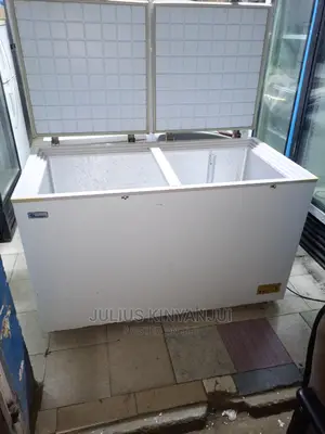 Double Door Freezer