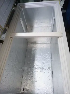 Double Door Freezer