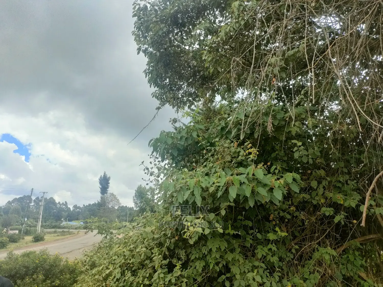 4 Acres Karatina/Kagochi Campus Main Tarmac at Gatei