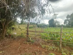 4 Acres Karatina/Kagochi Campus Main Tarmac at Gatei