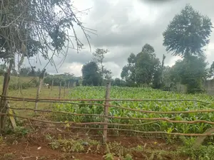 4 Acres Karatina/Kagochi Campus Main Tarmac at Gatei