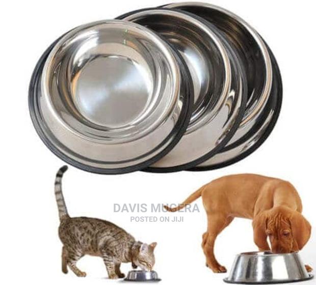 Peticon Stainless Steel Feeding and Water Cat Dog Bowl - main view