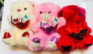Kids Toy Playing Dolly Teddy Bear