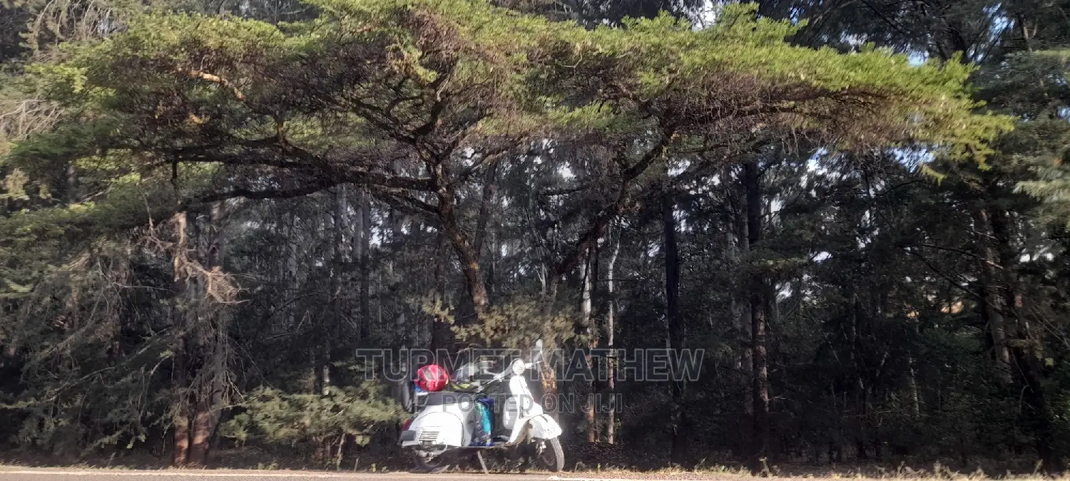 Bajaj Chetak 100 1993 White