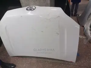 Ex Japan Bonnet for Probox New Shape