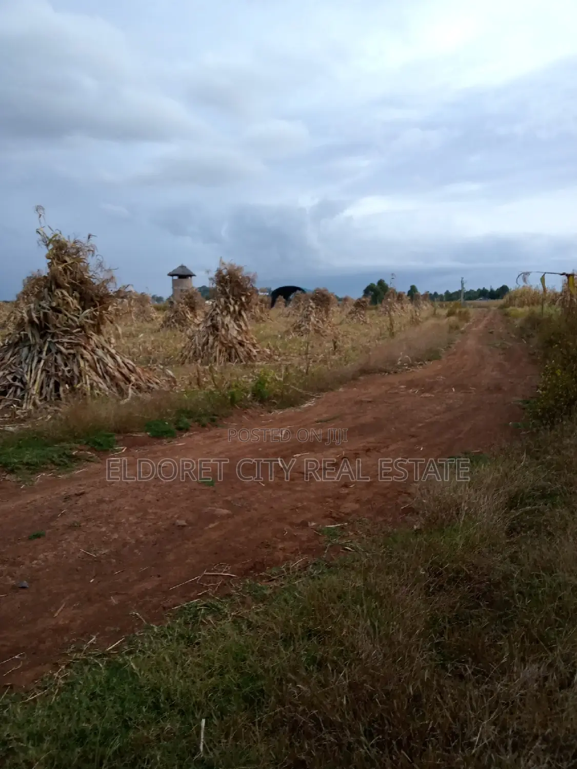 0ne Acre Plot Ilula With Title