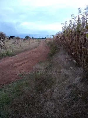 0ne Acre Plot Ilula With Title